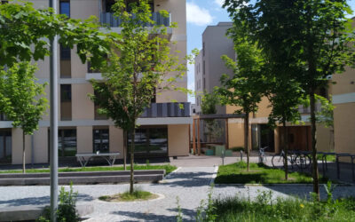 Was der Wohnbau vom Bildungsbau lernen kann