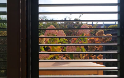 Sonnenschutz: 3 Qualitäten für mehr Wohnzufriedenheit.