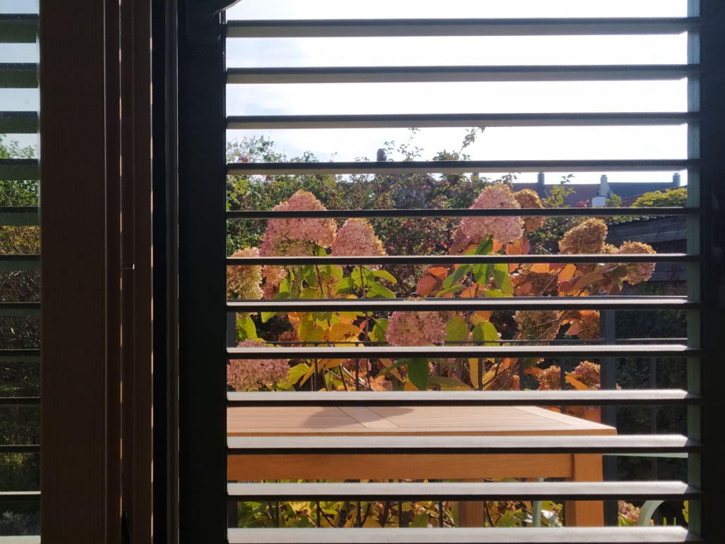 22_Sonnenschutz_Eggenbauer Blick aus dem Fenster